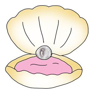 真珠と貝殻のイラスト素材｜アクセサリーや海モチーフに