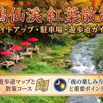 鶴仙渓の紅葉と川床の風景を紹介するライトアップ・散策ガイド