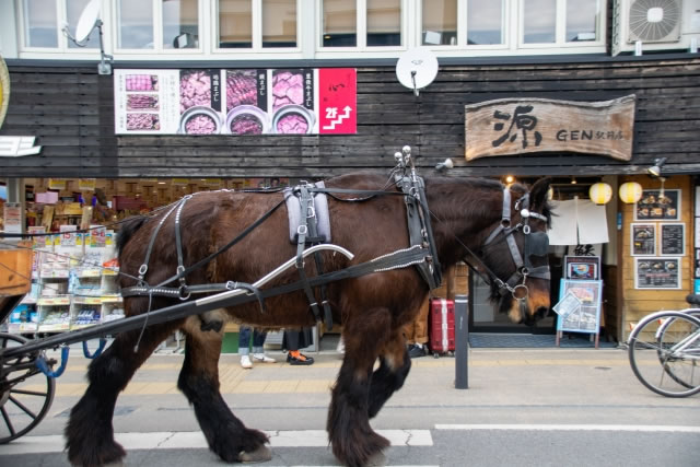 由布院の街中を走る観光辻馬車