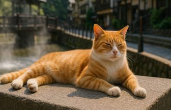 猫好きが選ぶ！リゾートバイトで行きたい癒しの温泉地6選【猫と旅する】
