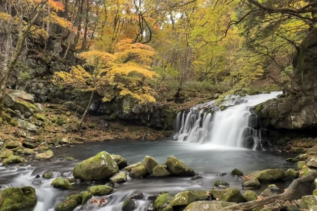 蓼科高原にある蓼科大滝。四季の自然に囲まれた滝と清流が、蓼科温泉周辺の静かな環境を象徴している