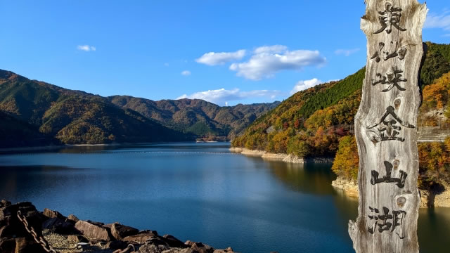 秋晴れの青空の下、紅葉に染まる山々と静かな水面が広がる金山湖（岩屋ダム）の全景