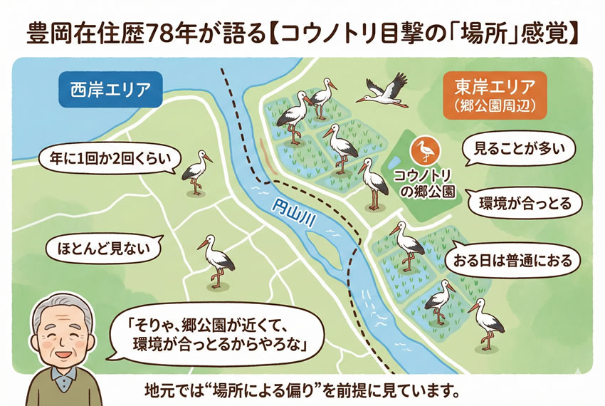 豊岡在住78年の証言をもとに、円山川を挟んだ東岸（コウノトリの郷公園周辺）と西岸でのコウノトリ目撃頻度の違いを示したイラストマップ
