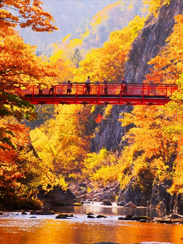 紅葉に包まれた渓谷に架かる赤い橋と川の絶景風景