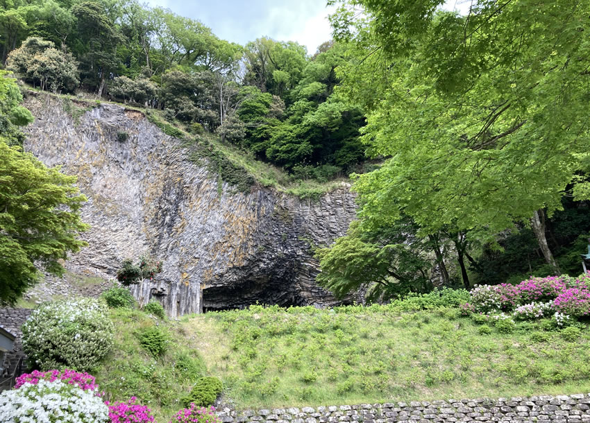 The massive basalt columns of Genbudo Caves seen from outside the paid entrance, with blooming flowers in the foreground.