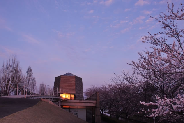 夜空に浮かび上がる、世界的建築家・磯崎新氏設計の中谷宇吉郎雪の科学館の六角塔と満開の桜