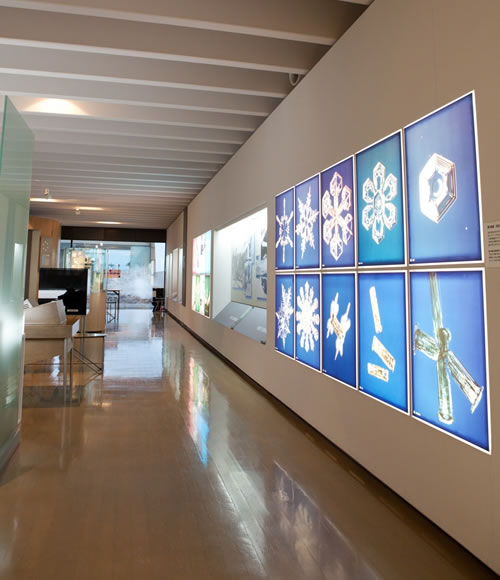 中谷宇吉郎雪の科学館の館内に展示されている、美しくライトアップされた多様な雪の結晶パネル