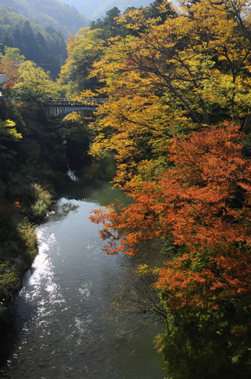 重厚なアーチ型の黒谷橋と色づく渓谷の紅葉