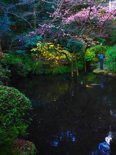 町立湯河原美術館の美しい日本庭園と池
